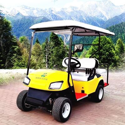 Linksgetriebener Elektro-Golf Buggy Lithiumbatteriebetriebene Golfkarren 2-10 Sitzplätze