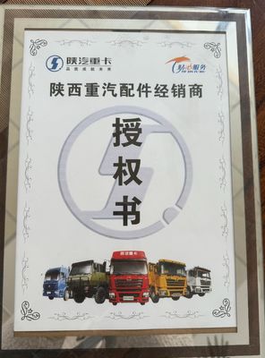 Shaanxi Shacman Delong Truck X3000 Ersatzteile Rückspiegel zum Ersetzen/Reparaten